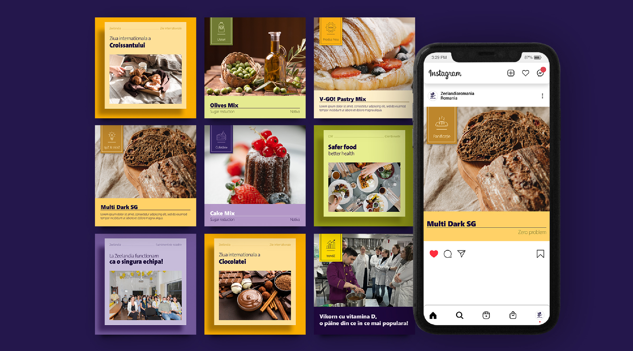 Case Study - Zeelandia Romania - Strategie Social Media - Vizualuri Social Media - Agenție Social Media Iasi Romania
